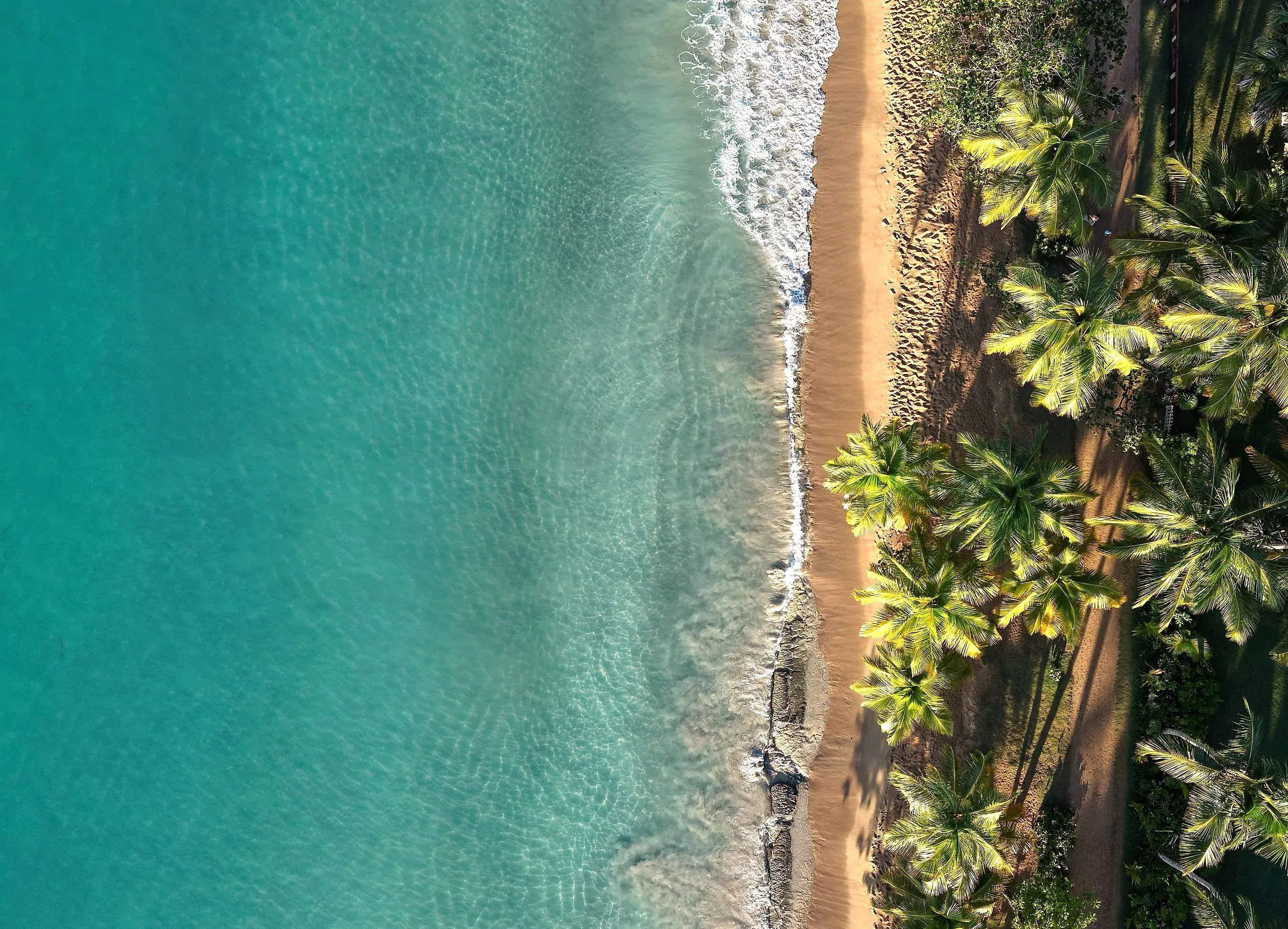 Vista aerea della spiaggia fiancheggiata da palme a Las Terrenas, Samaná