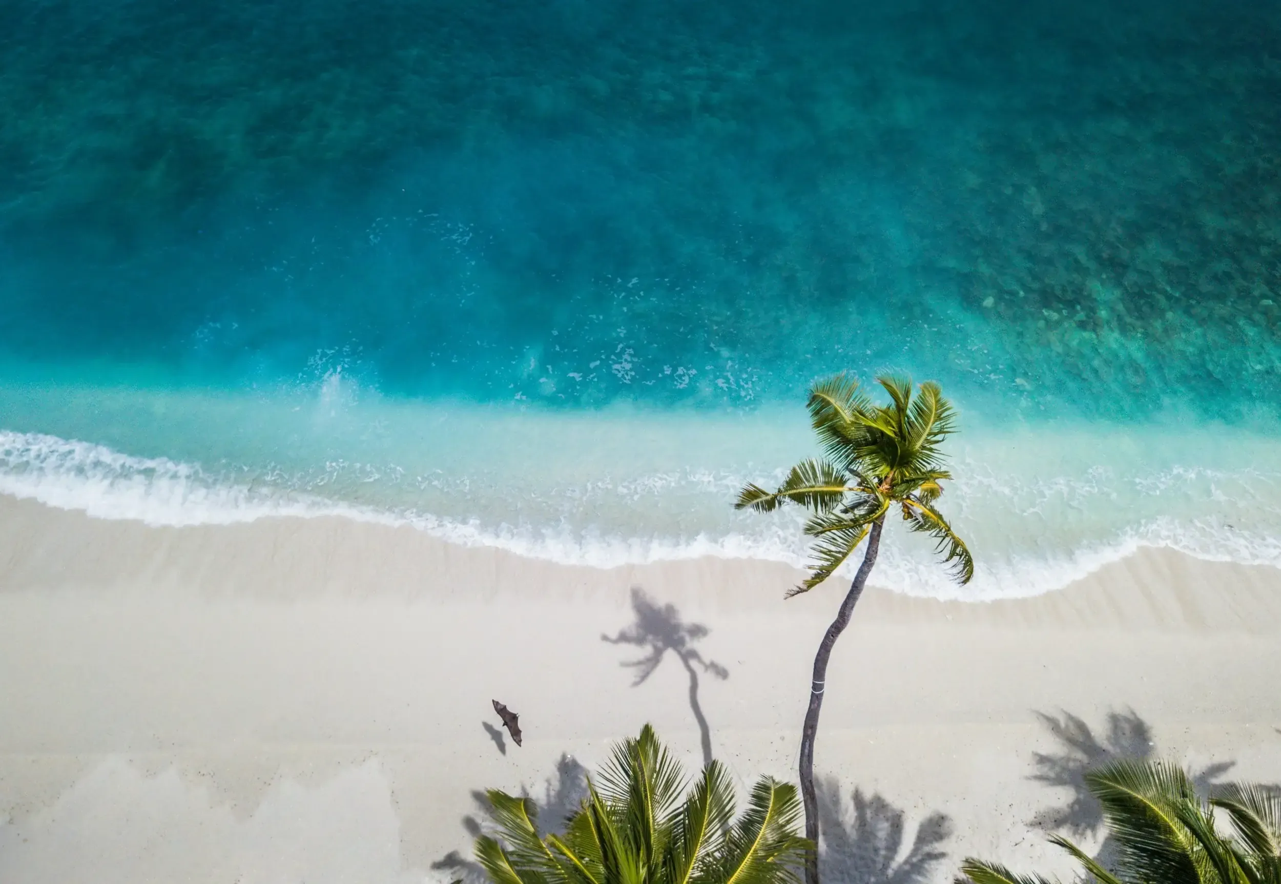 Beach in Las Terrenas, Samaná