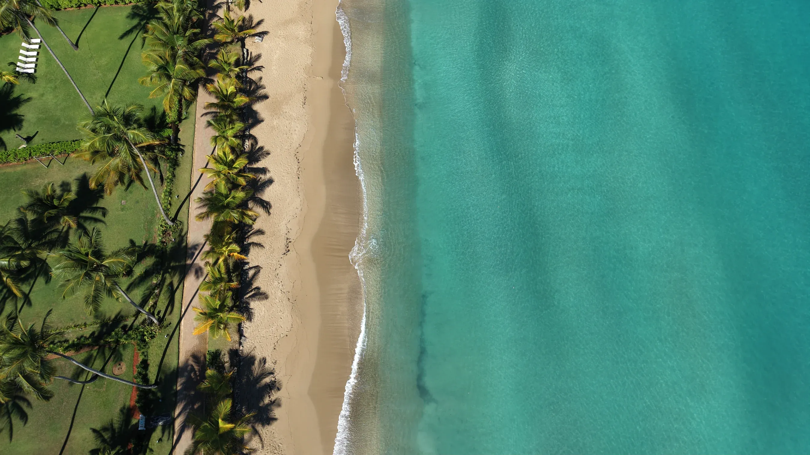 Aerial view of a palm-lined beach on the Samaná peninsula