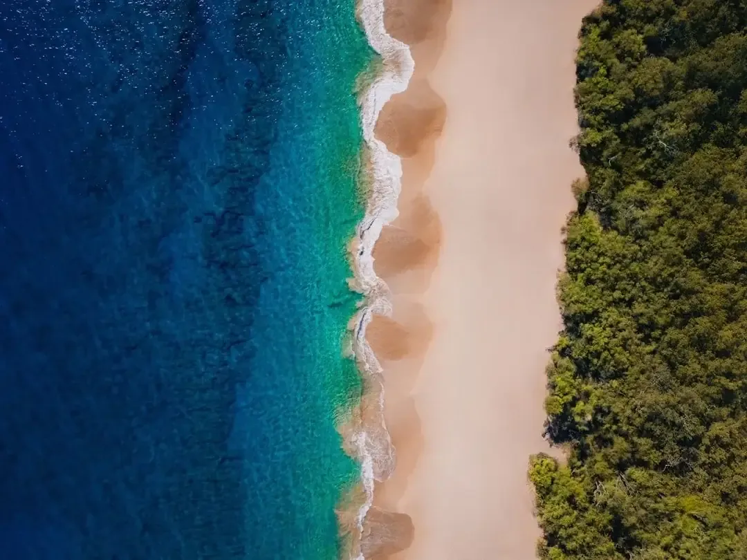 Aerial view of Playa Las Ballenas Las Terrenas Dominican Republic