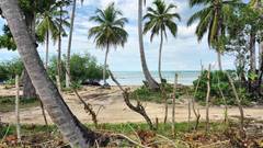 Beachfront Land in El Portillo, Las Terrenas, photo 11 of 16
