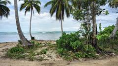 Beachfront Land in El Portillo, Las Terrenas, photo 13 of 16