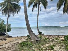 Beachfront Lot on Playa El Anclón, Las Terrenas, photo 2 of 16