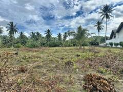 Beachfront Land in El Portillo, Las Terrenas, photo 9 of 16