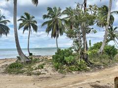 Beachfront Lot on Playa El Anclón, Las Terrenas, photo 3 of 16