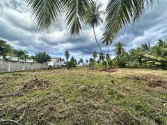 Beachfront Land in El Portillo, Las Terrenas, photo 10 of 16